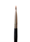 Shoushoulang Q-29 Rounded Angled Eyeliner Brush