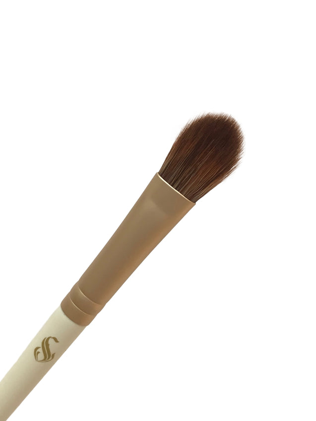 Shoushoulang The Beauty Yu Brush Set 13pc