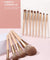 Shoushoulang Peach Brush Set - 12pcs